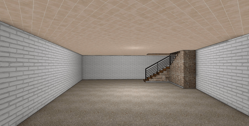 Basement Renovation